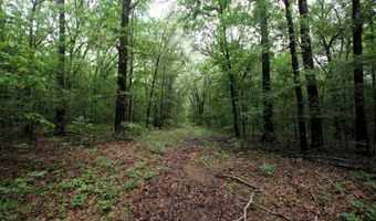 000 AVE 5 SW St, Atkins, AR 72823