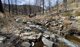 122 Black Hollow Rd, Bellvue, CO 80512