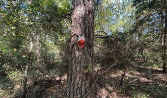 4496 State Hwy 130, Banks, AL 36005