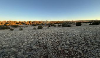 4970 Hollyhock St, Clay Springs, AZ 85923