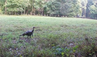 425 Rose Hill Rd, Bentonia, MS 39040