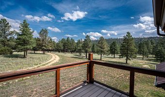 115 Blue Deer Ranch Road B-109, Buena Vista, NM 87712