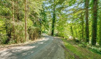5530 LEWIS RIVER Rd, Ariel, WA 98603