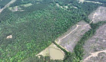 Low Water LN SW, Brookhaven, MS 39601