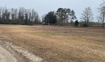 10580 Hwy 76, Adel, GA 31620