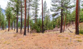 50 Bernie Rd, Alberton, MT 59820
