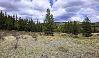 PCS # 10594 Looney Lane lot 0, Alma, CO 80420