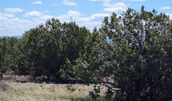 12 B Juniperwood Rnch, Ash Fork, AZ 86320