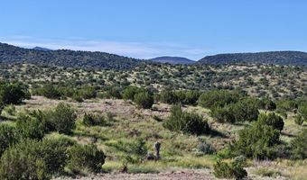 TR 111 Sierra La Rana, Alpine, TX 79830