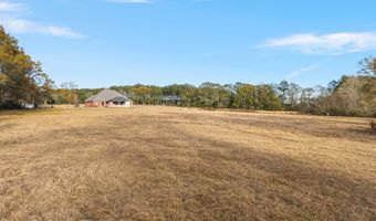 641 Chicora River Rd, Buckatunna, MS 39322