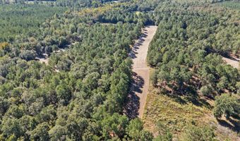 7901 Ashleigh Rd, Blackville, SC 29817