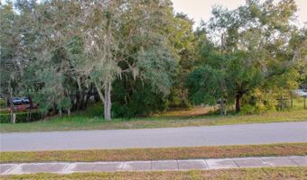 TENNESSEE Avenue, Astatula, FL 34705