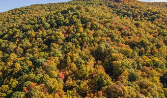 99999 Harwood Rd, Barnardsville, NC 28709