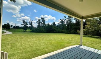 29760 Clinton Threeton Dr, Albany, LA 70711