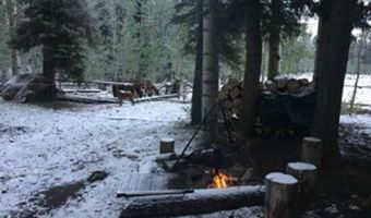 4558 Middle Mountain Rd, Bayfield, CO 81122