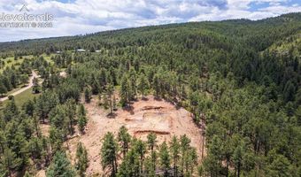 8719 Ponderosa Pine Dr, Beulah, CO 81023