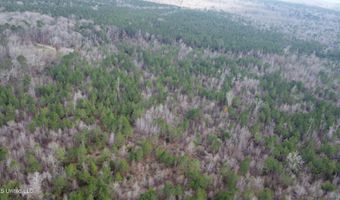 Saint John Road, Braxton, MS 39044