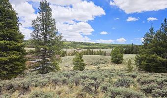 700 Looney Ln Lot 0, Alma, CO 80420