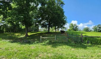 3350 SE Mount Pleasant Ln, Bogue Chitto, MS 39629