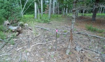 S Forest Lake, Alger, MI 48610