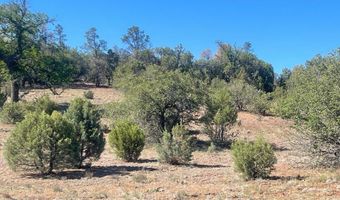 1751 Forest Service Rd 163, Clay Springs, AZ 85923