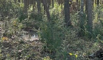 100 Fern Ave, Abbeville, LA 70510