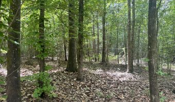 Beltline Drive, Brookhaven, MS 39601