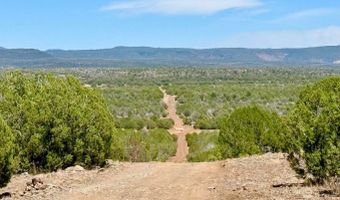 Stagecoach Dr 47 Acres, Ash Fork, AZ 86320
