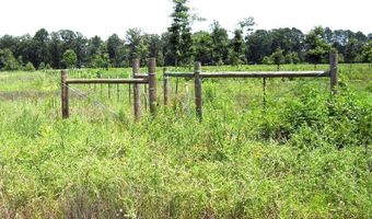 138 Little River 183, Ashdown, AR 71822