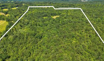 Alabama HWY 259, Alexander City, AL 35010