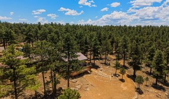 23251 Elk Trl, Aguilar, CO 81020