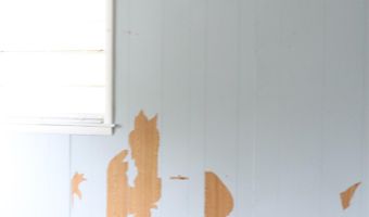 565 Co Rd 22, Arley, AL 35541