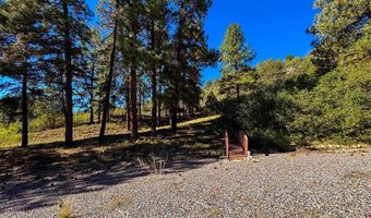 567 Double D Rd, Bayfield, CO 81122