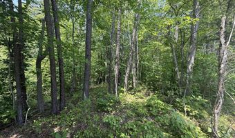 81 Happy Acres Rd, Beattyville, KY 41311