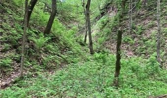 N3953-201 Bear Pen Road, Arkansaw, WI 54721