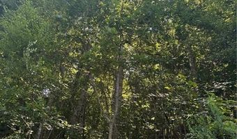Lot 15 Larkspur Trail, Banner Elk, NC 28604