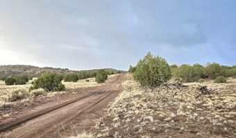 Pinon Valley Ranch lot 9, Concho, AZ 85924