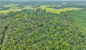 684 Mardis Point Rd, Baileyton, AL 35019
