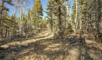 1004 And 1005 El Camino Real, Angel Fire, NM 87710