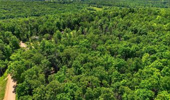 County Road 101, Alton, MO 65606