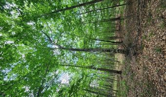 Tbd NE Bahalia Road, Brookhaven, MS 39601