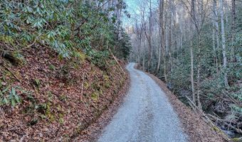 6 83ac Webb Creek Rd, Andrews, NC 28901