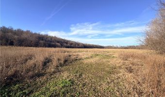 40 Acres Business Hwy 71, Anderson, MO 64831