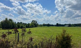 420 Sheffield Rd, Adamsville, TN 38310