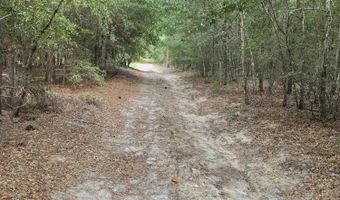 317 R J Johnson Rd, Allendale, SC 29810
