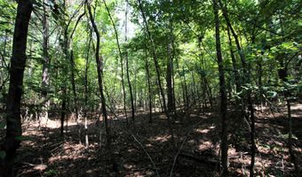 000 Sorrell Rd, Benton, AR 72015
