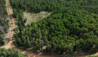 168 Mertz Pl Lot 65, Angel Fire, NM 87710