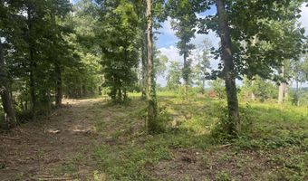 Tract 2 Mill Creek Rd, Andersonville, TN 37705