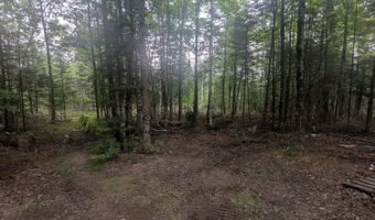 6555 Monaghan Point Rd, Alpena, MI 49707