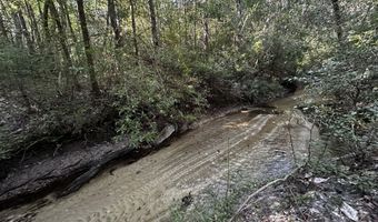 S Carroll Drive, Baker, FL 32531